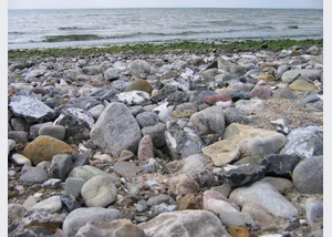 Archäologische Sprechstunde