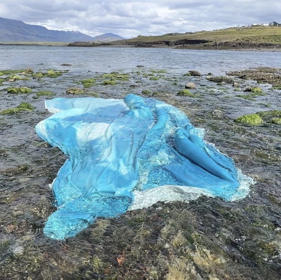 Chili Seitz, Intertidal