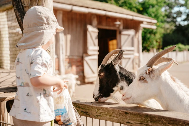 Hofführung auf Hof Klostersee