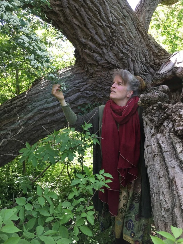 Märchenhaftes Bratapfelessen