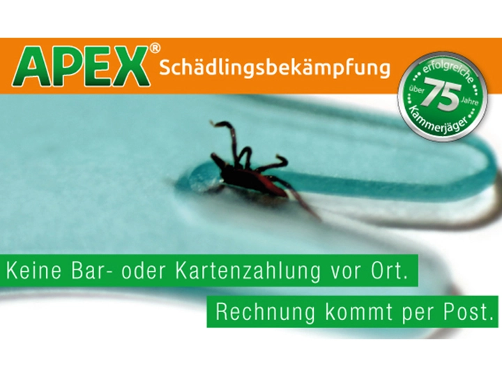 Galerie-Bild 1: . von APEX Schädlingsbekämpfung 