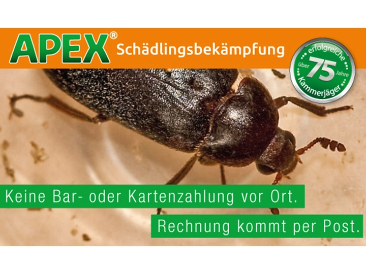 Galerie-Bild 13: . von APEX Schädlingsbekämpfung 