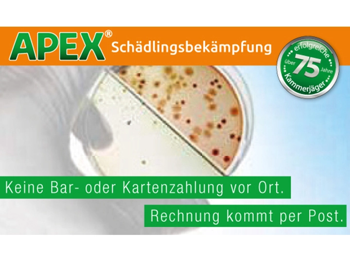 Galerie-Bild 17: . von APEX Schädlingsbekämpfung 