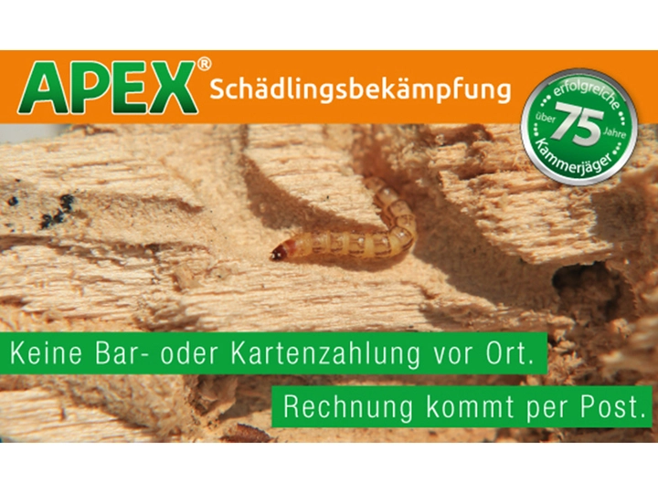 Galerie-Bild 18: . von APEX Schädlingsbekämpfung 