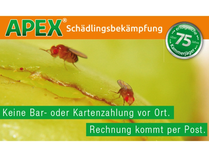 Galerie-Bild 23: . von APEX Schädlingsbekämpfung 