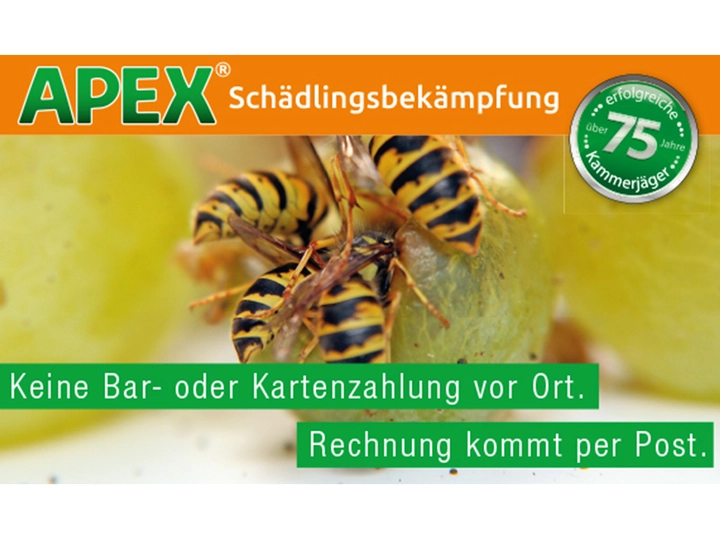 Galerie-Bild 4: . von APEX Schädlingsbekämpfung 