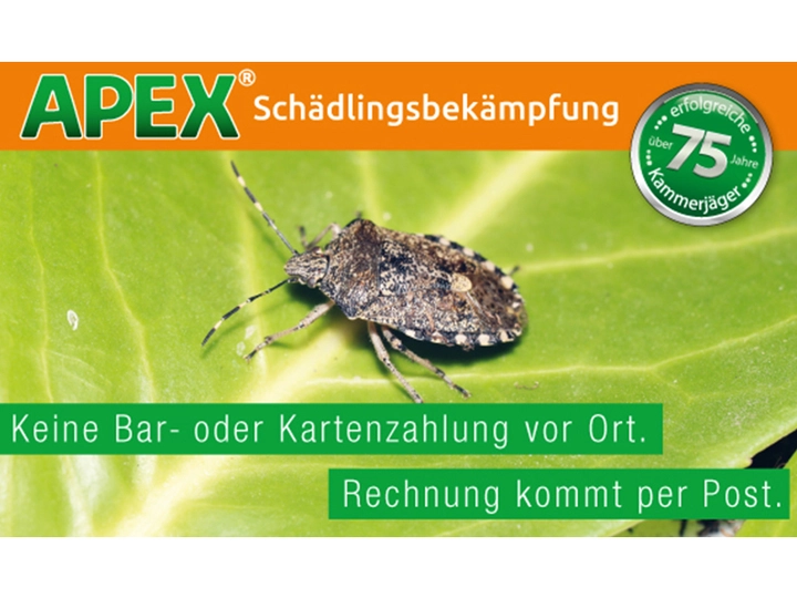 Galerie-Bild 7: . von APEX Schädlingsbekämpfung 