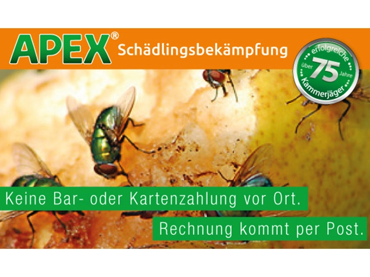 Galerie-Bild 8: . von APEX Schädlingsbekämpfung 