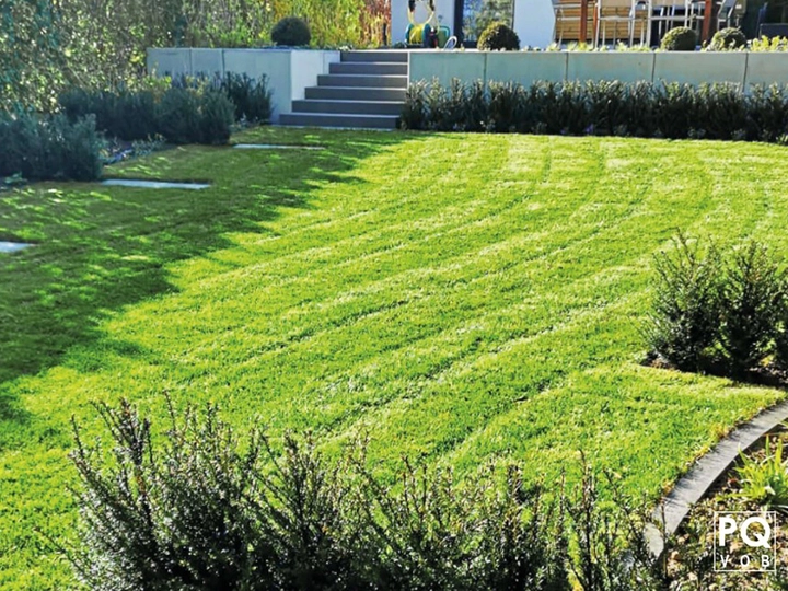 Galerie-Bild 1: Bleyder aus L&uuml;beck von Bleyder , Garten- u. Landschaftsbau