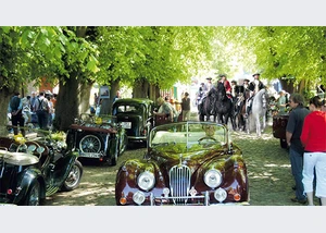 Edle Rösser begegnen edlen Karrossen