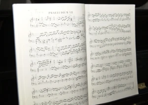 Egal ob klassisch oder modern! Musik zum selber machen