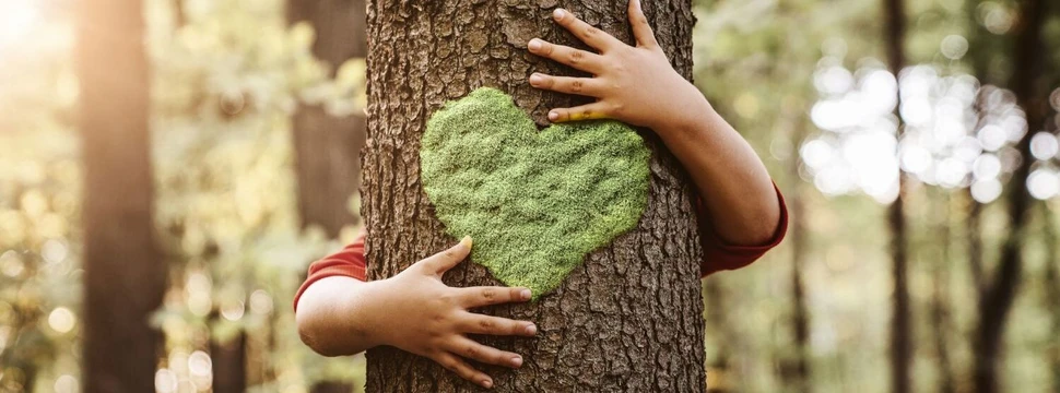 Baumstamm mit einem grünen Herz, der von zwei Händen umarmt wird