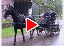 Video: Hubertusjagdfahrt auf Gut Kleve