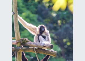 Sommersafari im Zoo Schwerin
