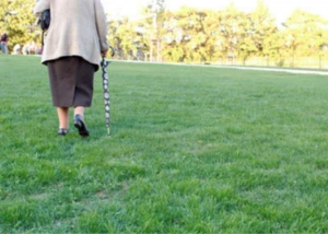 Seniorengerechtes Wohnen