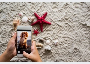 Fotowalk mit Hund im Yachthafen