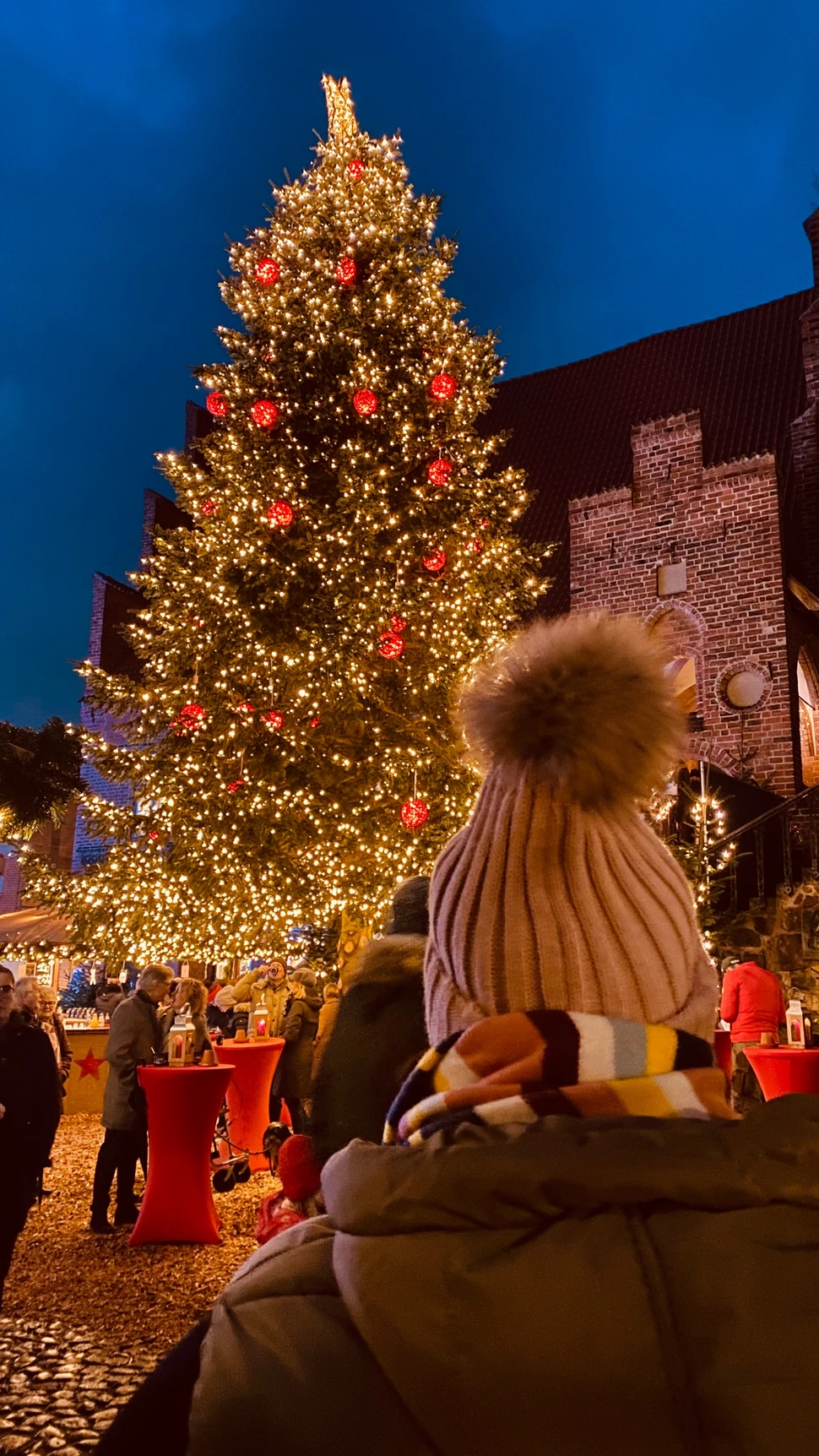  Weihnachtsmarkt Mölln