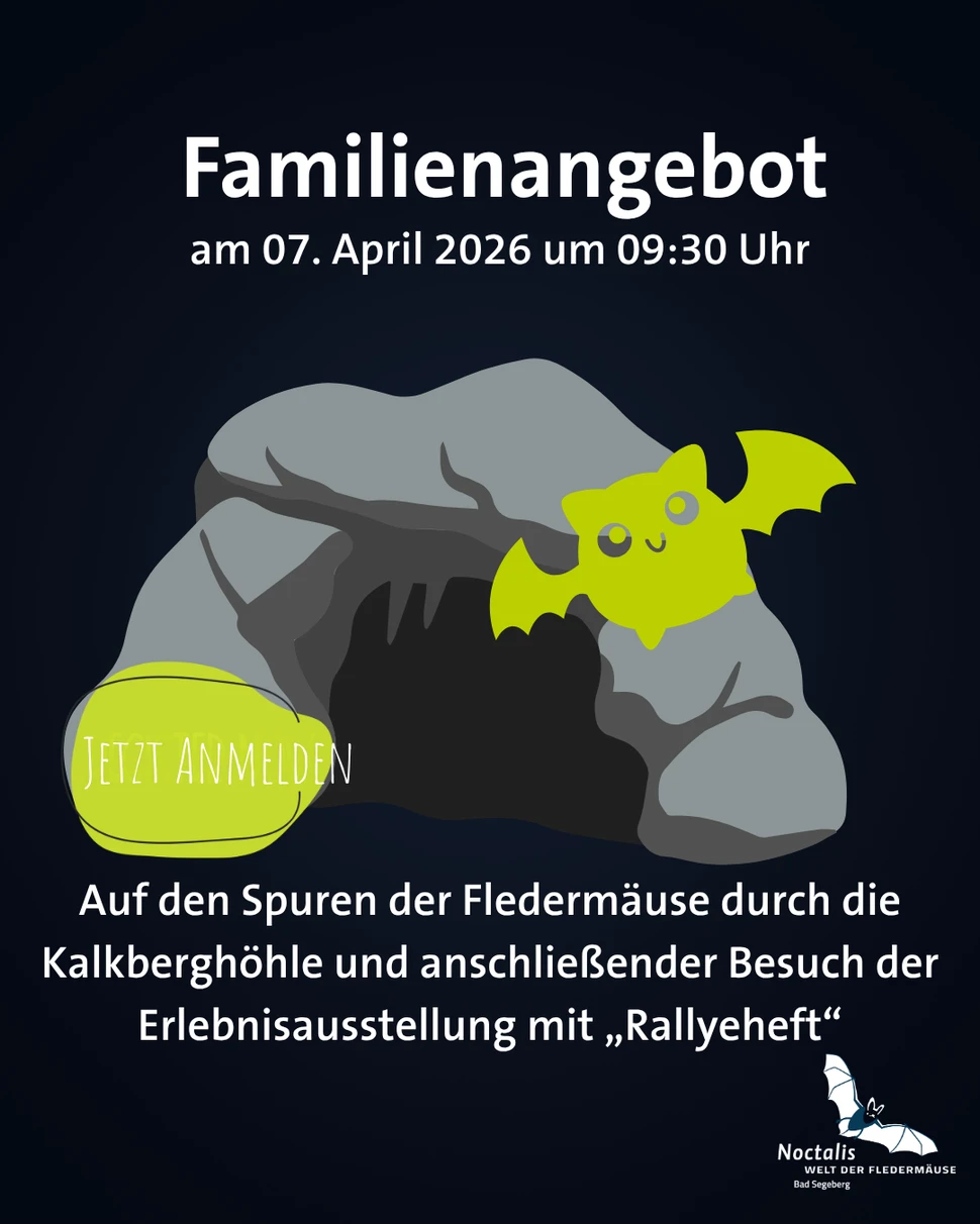 Auf den Spuren der Fledermäuse durch die Kalkberghöhle und anschließender Besuch der Erlebnisausstellung