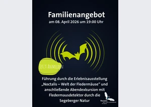 Führung und Nachtwanderung