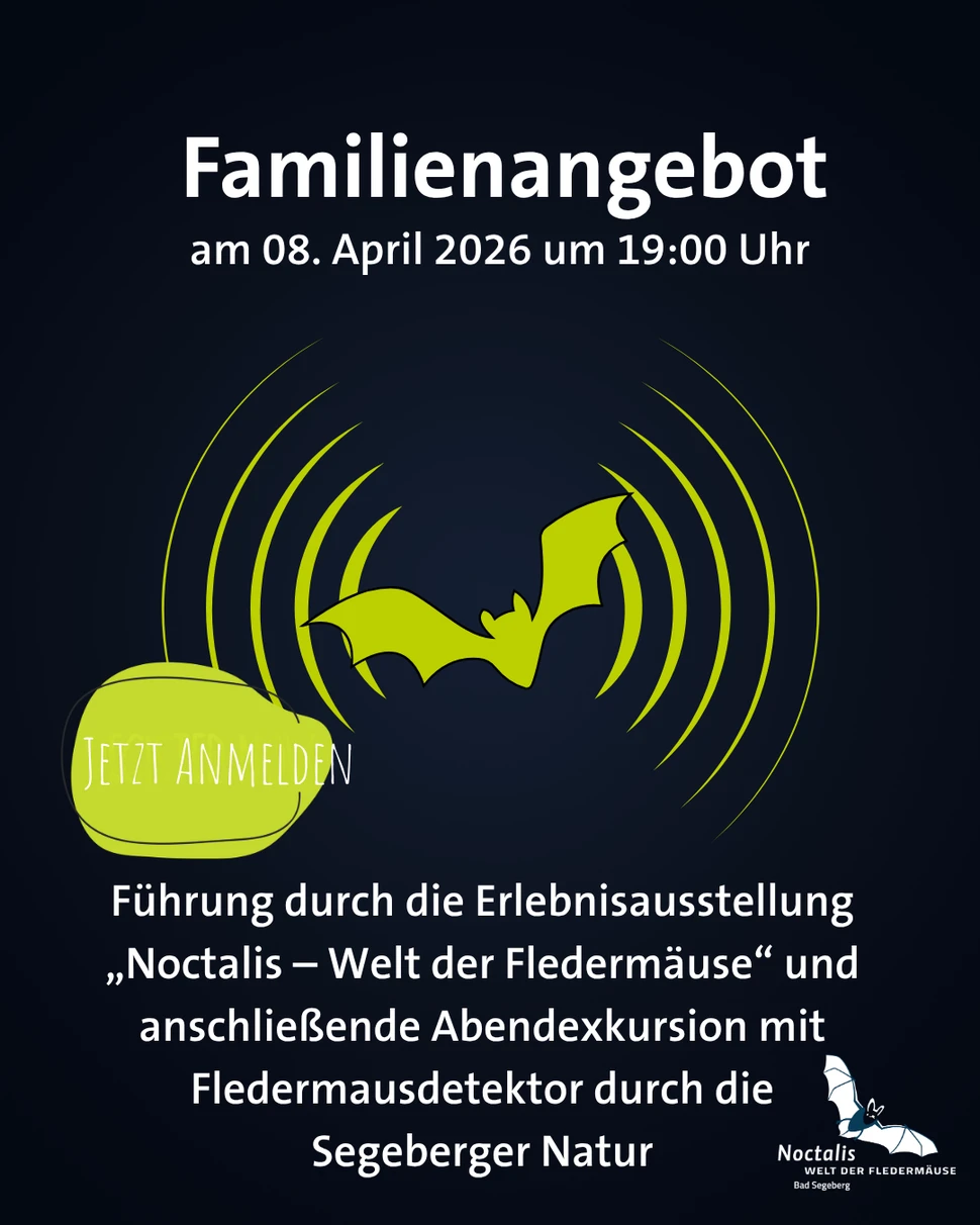 Führung und Nachtwanderung