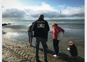 Bernsteinführung am Strand